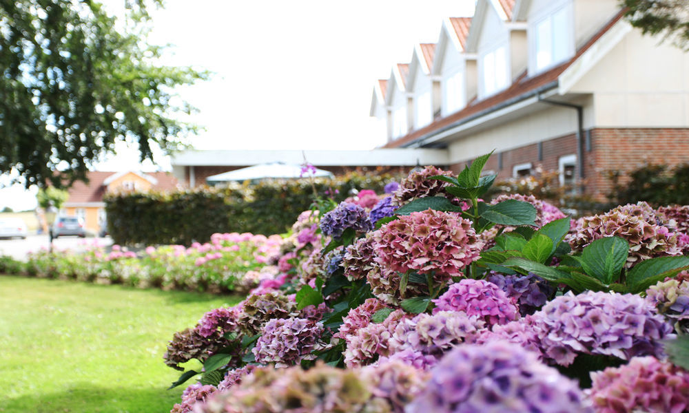 Fangel Kro & Hotel Bellinge Kültér fotó